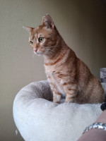 /album/26-02-20261/whatsapp-image-2026-02-26-at-17-59-55-6-jpeg/